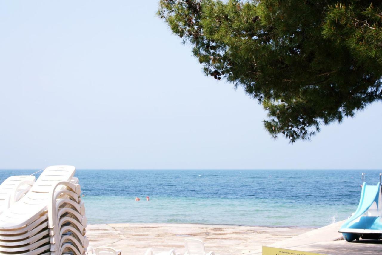 Apartment Punta